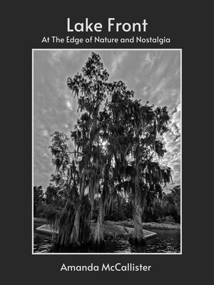 cover image of LAKE FRONT